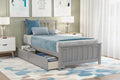 Luxystar Twin size Platform Bed with 2 Drawers for Bedroom and Guest Room